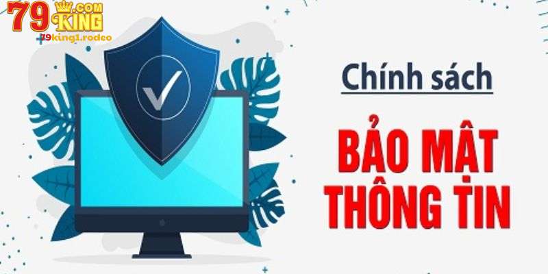 Khái quát về chính sách bảo mật hiện đại tại 79king